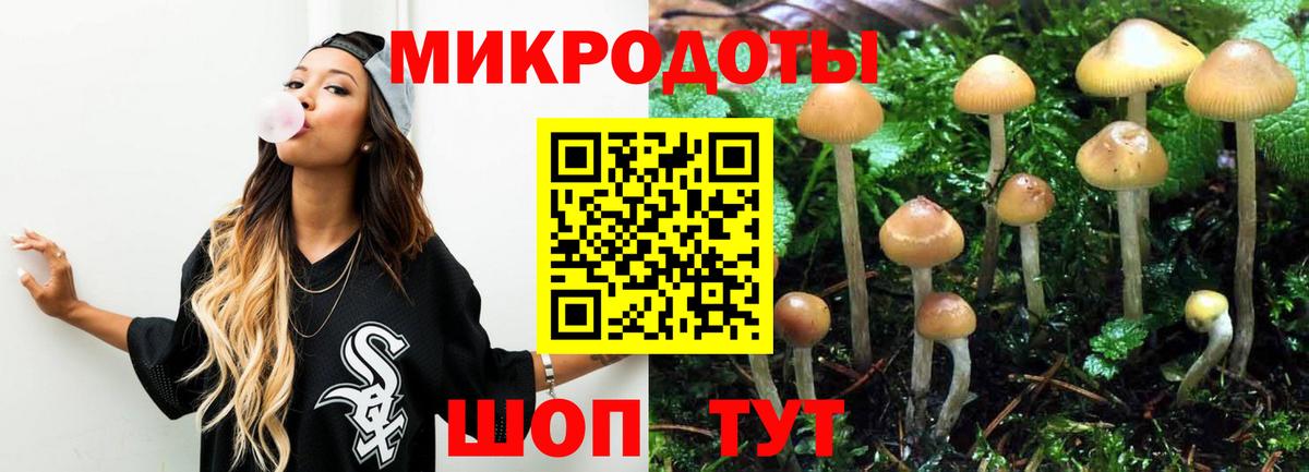Ачхой-Мартан  Галлюциногенные грибы мухоморы  Галлюциногенные грибы Psilocybine cubensis  Вход с VPN 