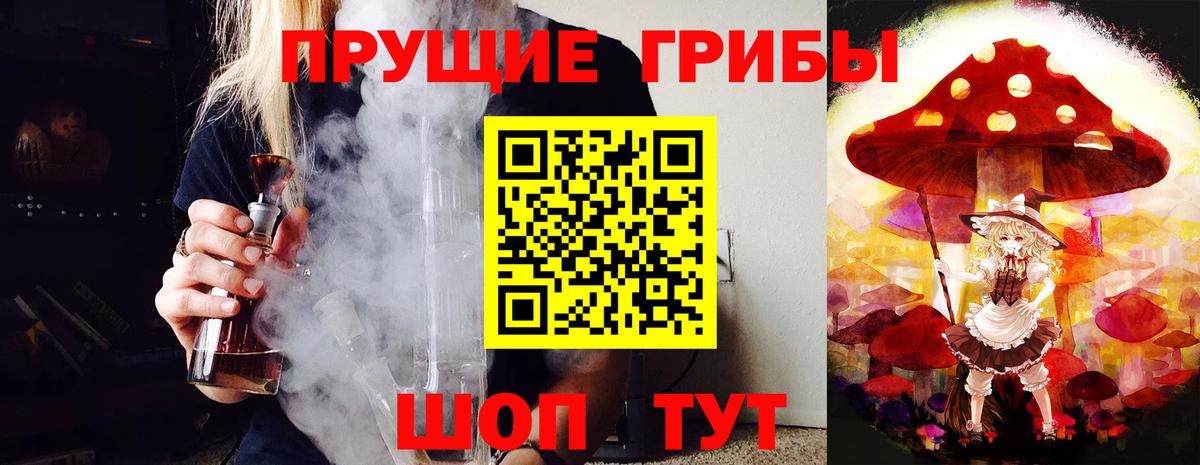 Псилоцибиновые грибы мухоморы Ачхой-Мартан